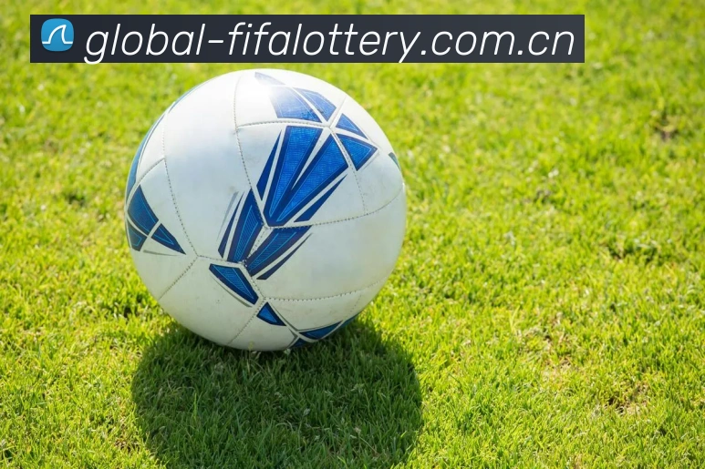 FIFA 官方数据授权认证